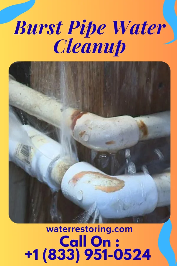 Burst Pipe Water Cleanup in Ellerbe, NC