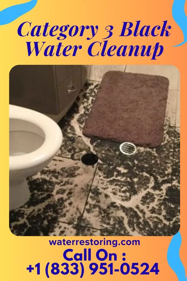 Category 3 Black Water Cleanup in Ellerbe, NC