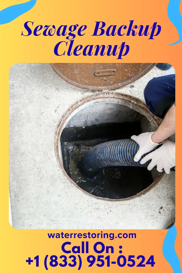 Sewage Backup Cleanup in Ellerbe, NC