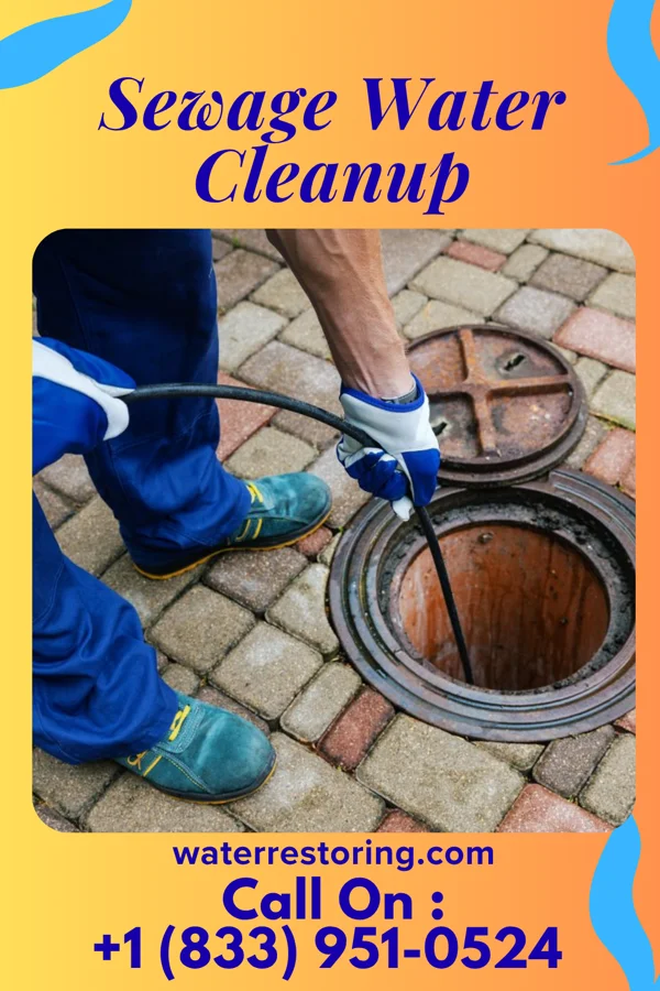 Sewage Water Cleanup in Ellerbe, NC