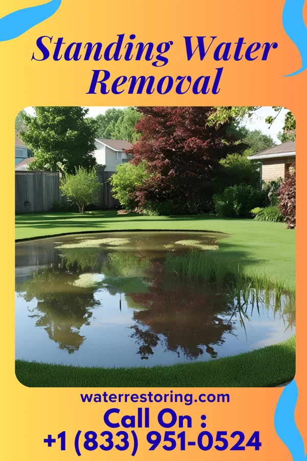 Standing Water Removal in Ellerbe, NC